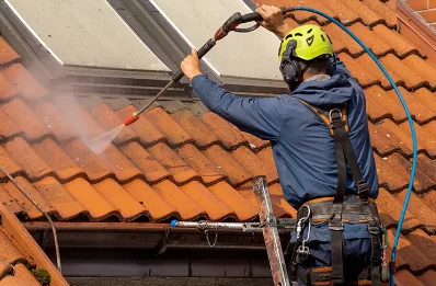 Démoussage et hydrofuge de toiture à Sainte-Agathe-en-Donzy